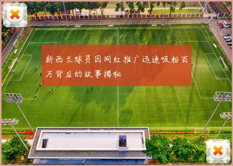 新西兰球员因网红推广迅速吸粉百万背后的故事揭秘